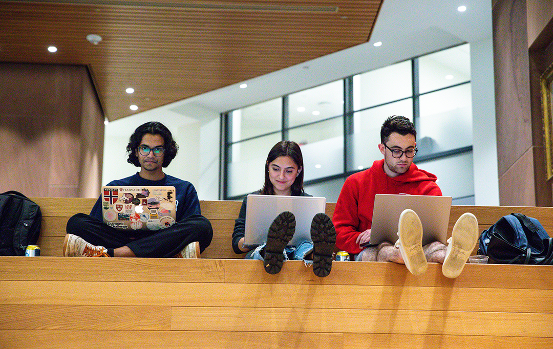 Harvard students on laptops